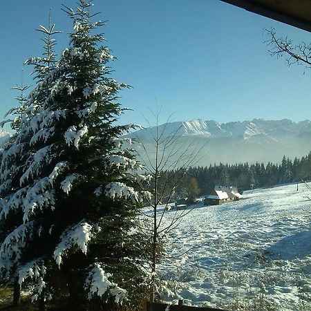 Panorama Tatr Hotel Zakopane Exterior photo
