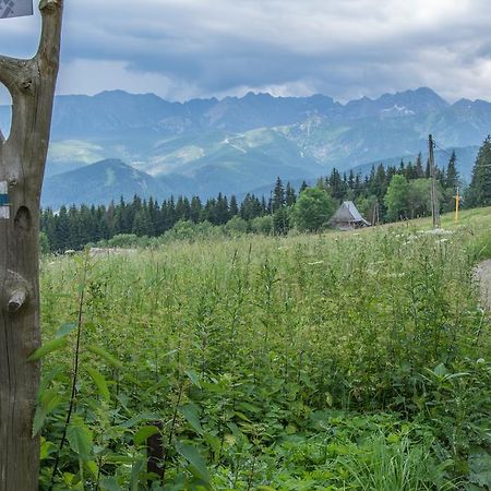 Panorama Tatr Hotel Zakopane Exterior photo