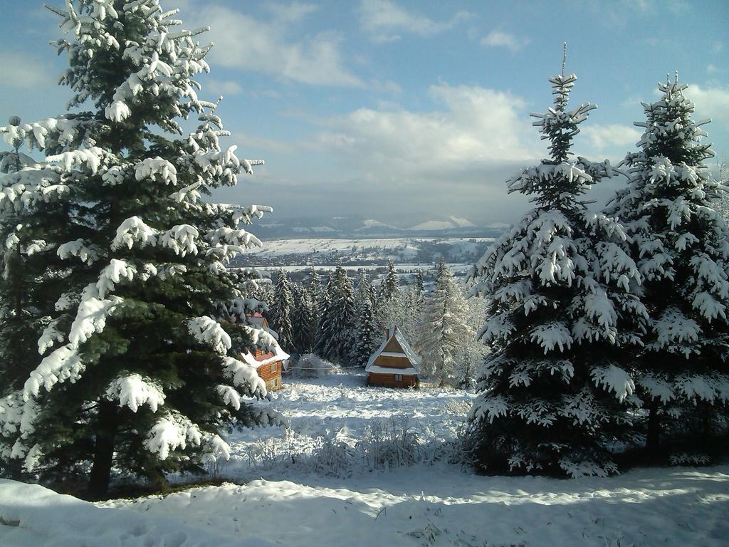 Panorama Tatr Hotel Zakopane Exterior photo